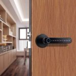 Enrique Tuya Factory Price Smart Handle Lock Home Electronic Tuya App Digital Smart Gate Sale Electric Lock Smart Door Lock - 图片 7