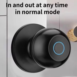 Cost Effective TUYA APP Smart Home System Keyless Fingerprint Smart Lock Round Door Knob for Wood Door Aluminum Alloy